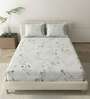 Warm Gray Metro 186 TC Cotton Double Bedsheet With 2 Pillow Covers