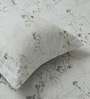 Warm Gray Metro 186 TC Cotton King Bedsheet With 2 Pillow Covers