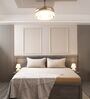 Cream 100% Cotton 300TC Solid Superking Bedsheet with 2 Pillow Covers (Quilted)