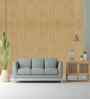 Warm Sand Design Subtle Elegance Modern Style Wallpaper