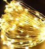 Genevieve Warm White 5 Meter LED String Light