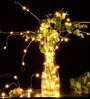 Genevieve Warm White 5 Meter LED String Light