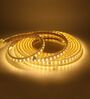 Warm White 5 Mtrs Waterproof Direct Plug-In LED Rope Strip Light