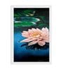 Water Lilies Handmade Acrylic Painting On Canvas Unframed