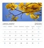Watercolor Calendar Set 2026
