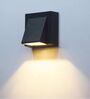 Waterproof 3 Watts Warm White Downlighter Outdoor Wall Light