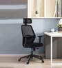Wave Ergonomic Office Chair with Adjustable Lumbar Support and Headrest in Black Colour