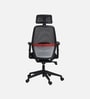 Wave Ergonomic Office Chair with Adjustable Lumbar Support and Headrest in Black Colour