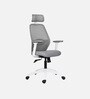 Wave Ergonomic Office Chair with Adjustable Lumbar Support and Headrest in White Colour