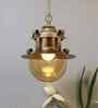 Wave Gold Metal Hanging Light