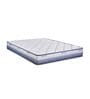 Wave Rest  6 Inches Foam Queen Size Mattress