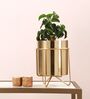 Waves Gold Iron Desk Pot with Stand