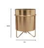 Waves Gold Iron Desk Pot with Stand