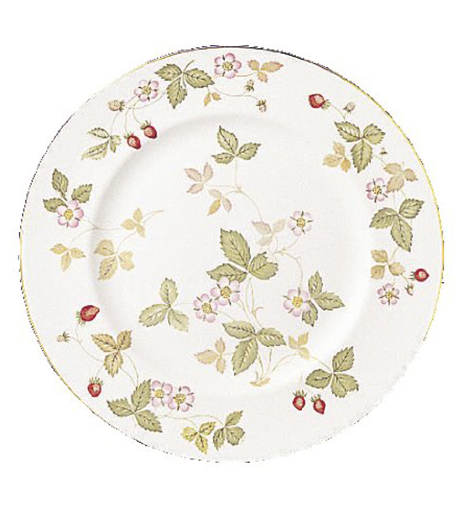 Buy Wedgwood Wild Strawberry Bone China Salad Plate Online Bone China