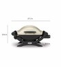 Weber Q 1000 Gas Grill