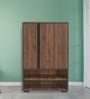 Webster 2 Door Shoe Cabinet In Wenge Finish