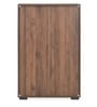 Webster 2 Door Shoe Cabinet In Wenge Finish