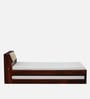 Wedohl Sheesham Wood Single Bed With Trundle In Honey Oak Finish