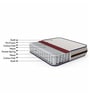 Welkin Pocket Spring 6 Inch Queen Size Mattress