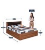 Wellington Queen Size Bed with Storage in Brown Finish