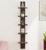 Wenge Engineered Wood Louis Floating Wall Shelf
