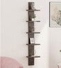 Wenge Engineered Wood Louis Floating Wall Shelf