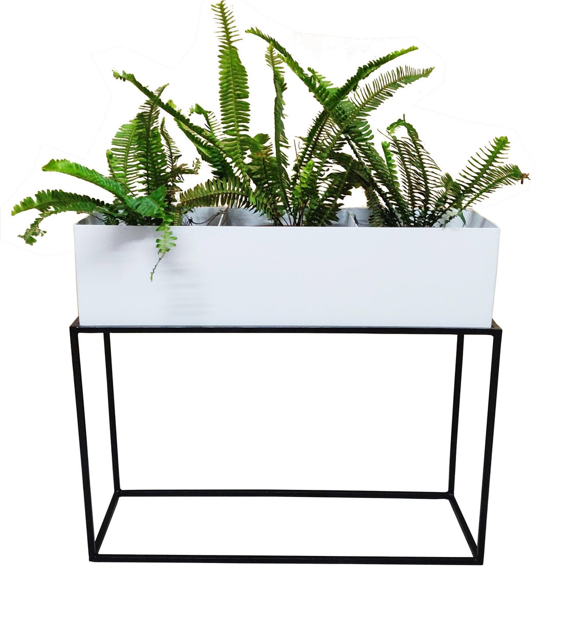 Buy White & Black Steel Rectangular Pot Stand With Pot By ...