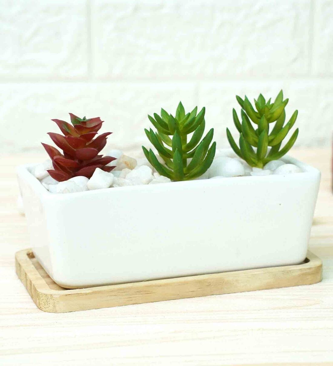 Buy White Ceramic Succulent Tray By Gold Dust at 24% OFF by Gold Dust ...