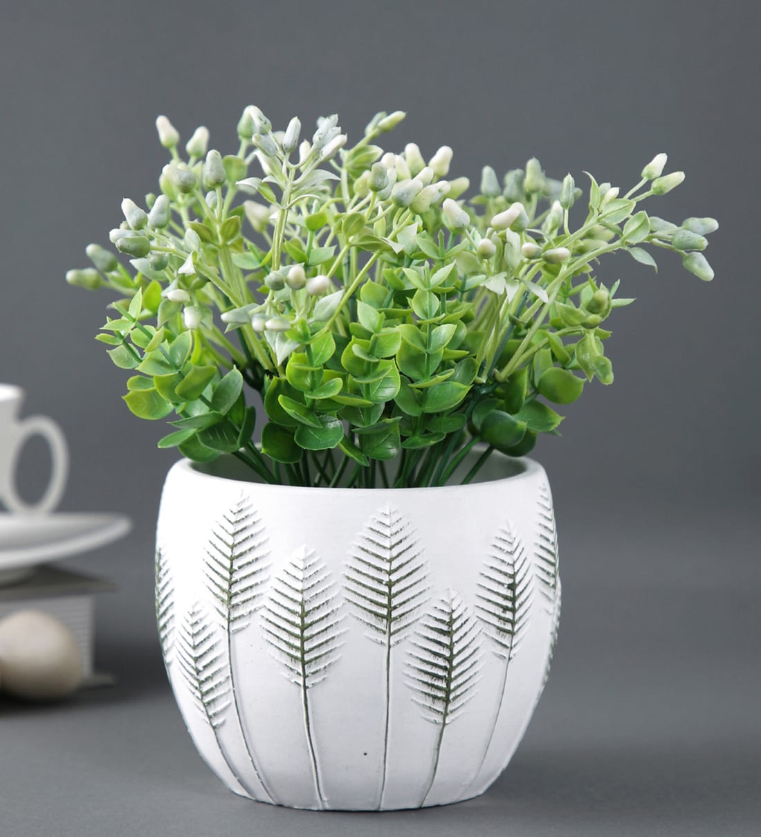 Buy Grey & White Gardening & Planters for Home & Kitchen by Tayhaa