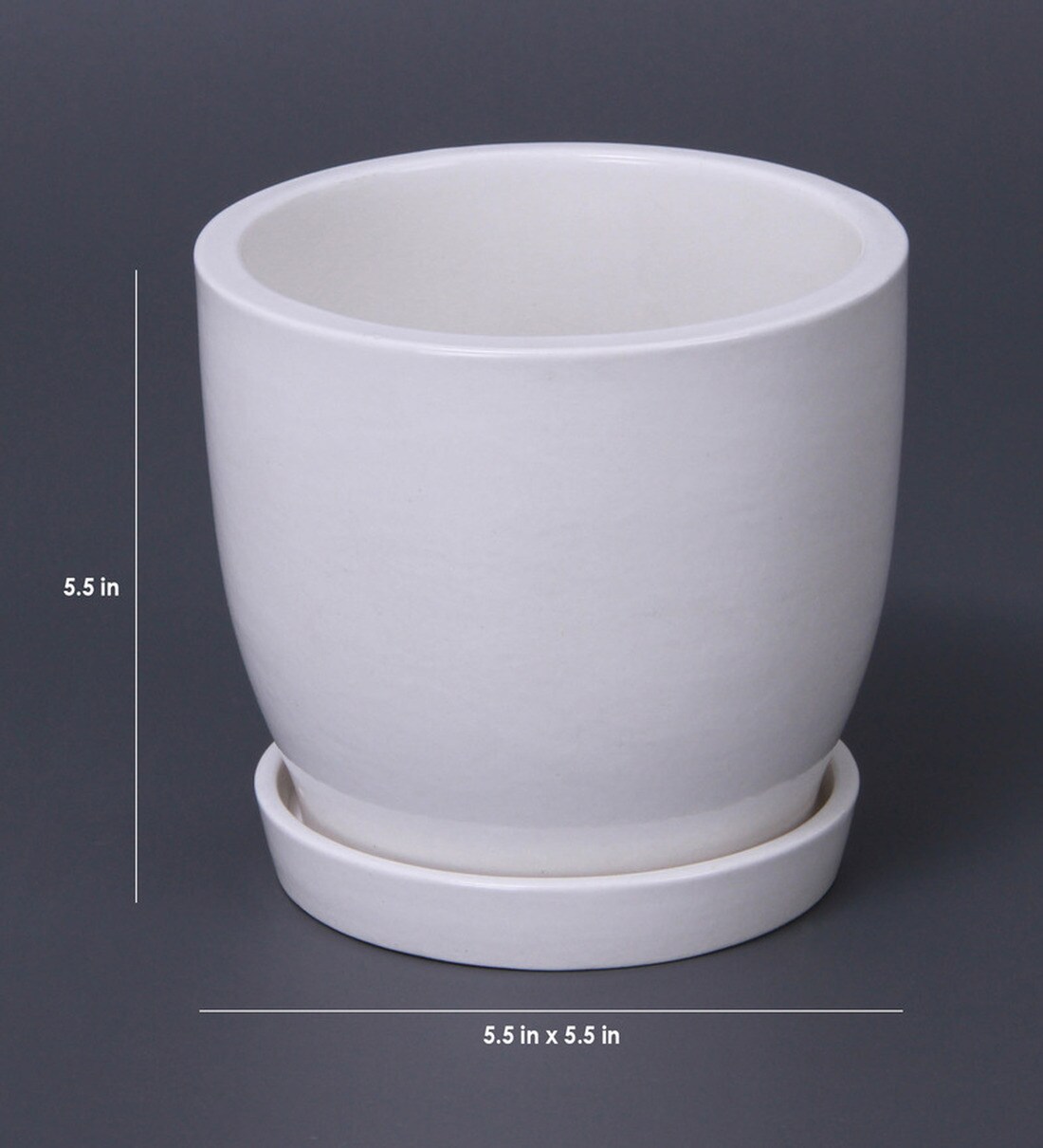 Buy White Ceramic Table Top Planter with Saucer by Decardo Online