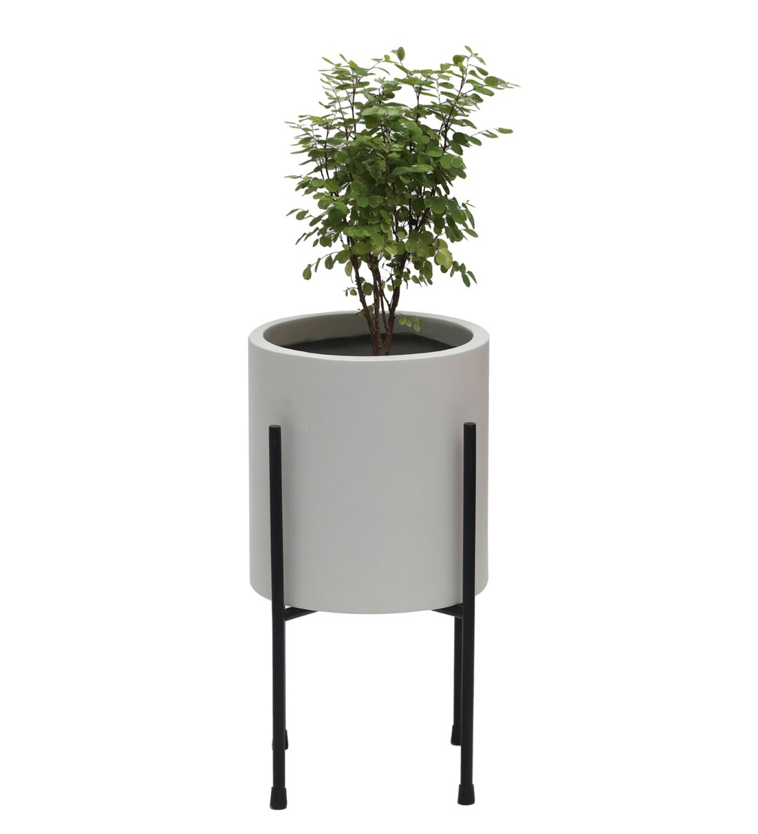 Buy White Fiber Glass Cylindrical Shaped Large Floor Planter, Set of 3