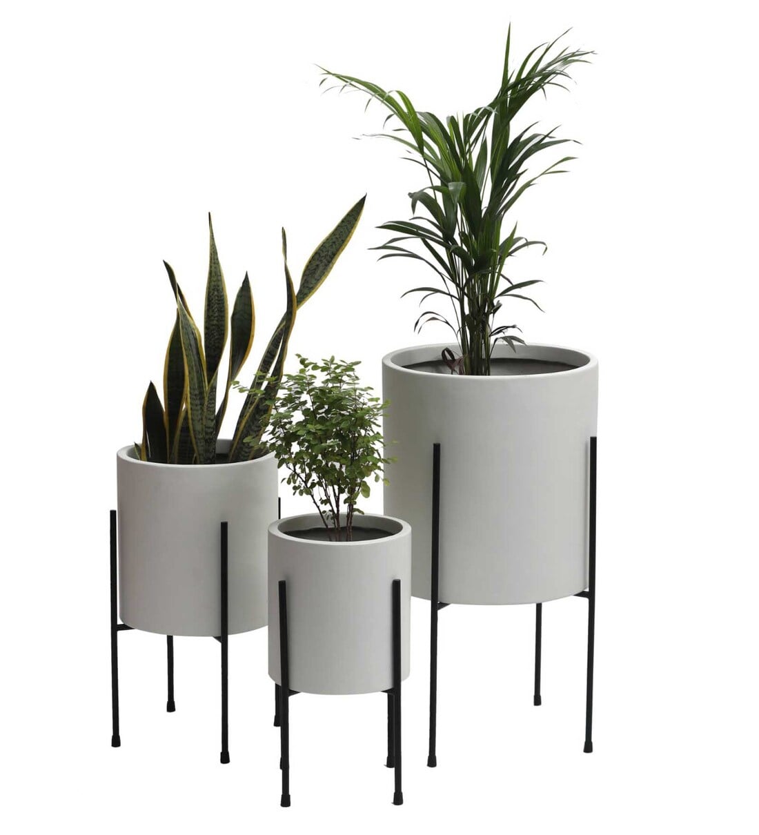 Buy White Fiber Glass Cylindrical Shaped Large Floor Planter, Set of 3
