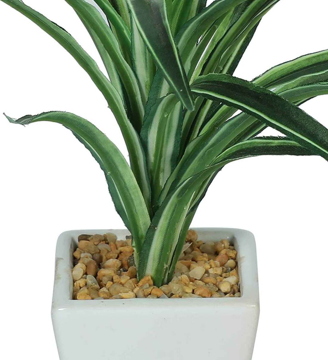 Buy White Green Pvc Dracaena Artificial Bonsai With White Ceramic Pot