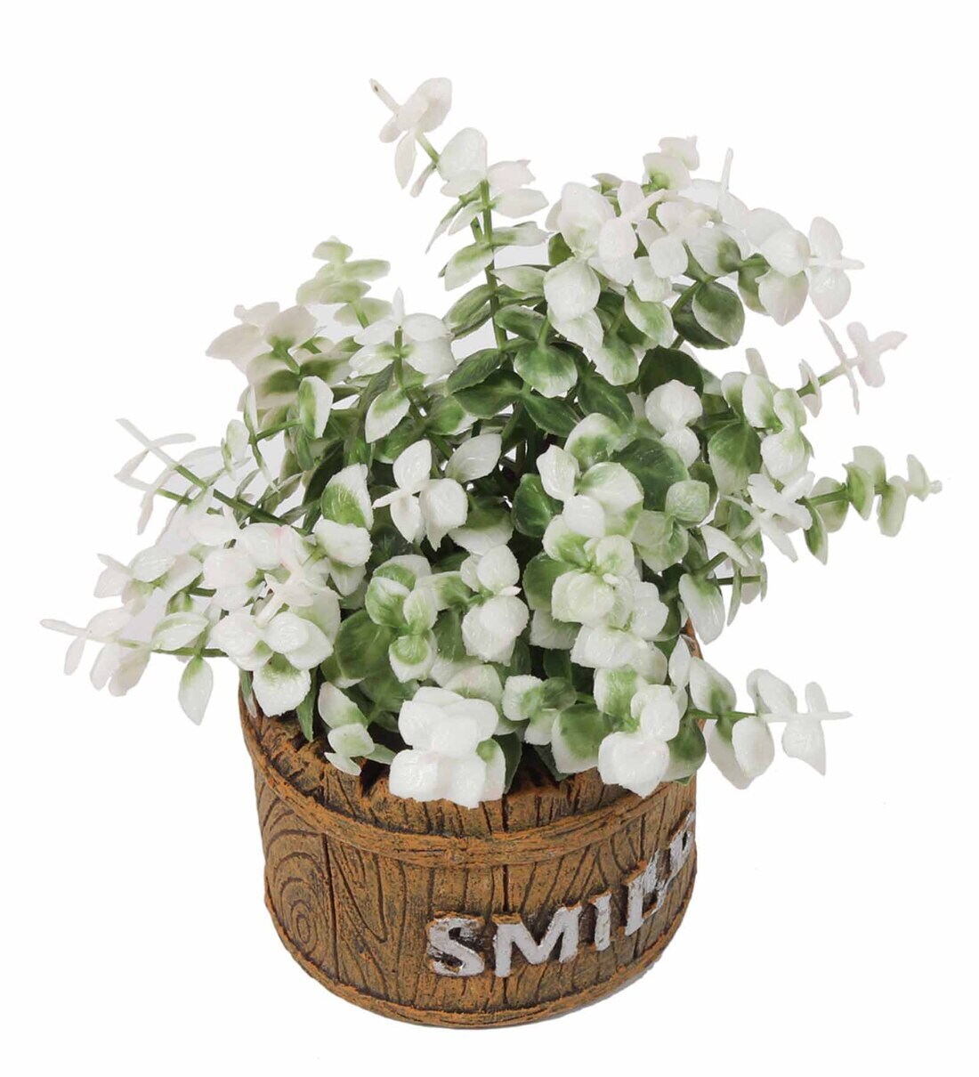 Buy White Polyester Artificial Jade Bonsai Plant With Brown Resin Pot by Pollination Online