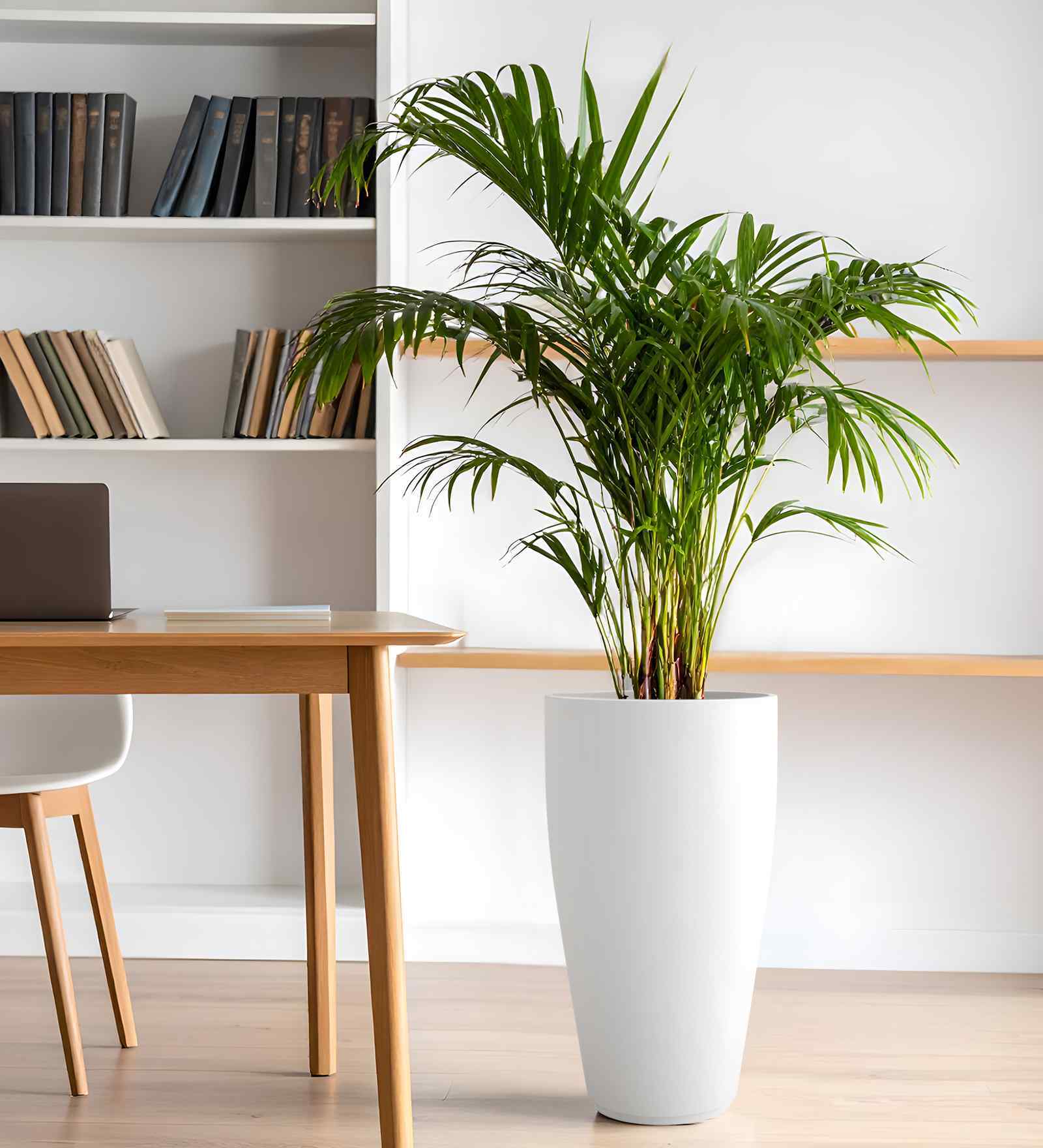 White VNR Whte Round 24 Inches Planter