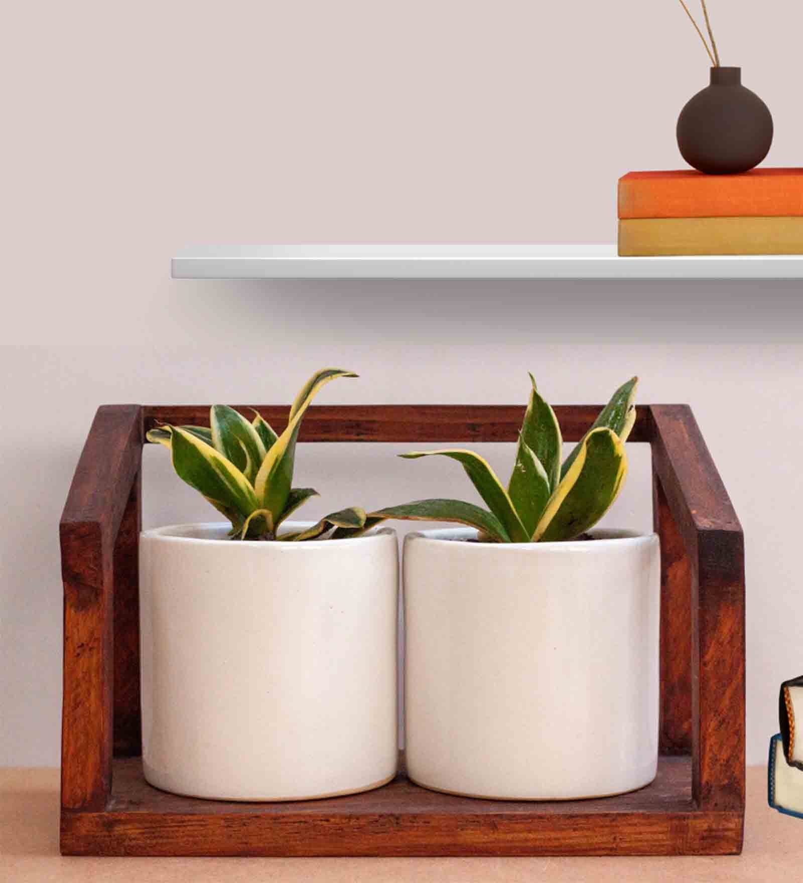 White And Walnut Ceramic & Pinewood Swing Planter With Stand