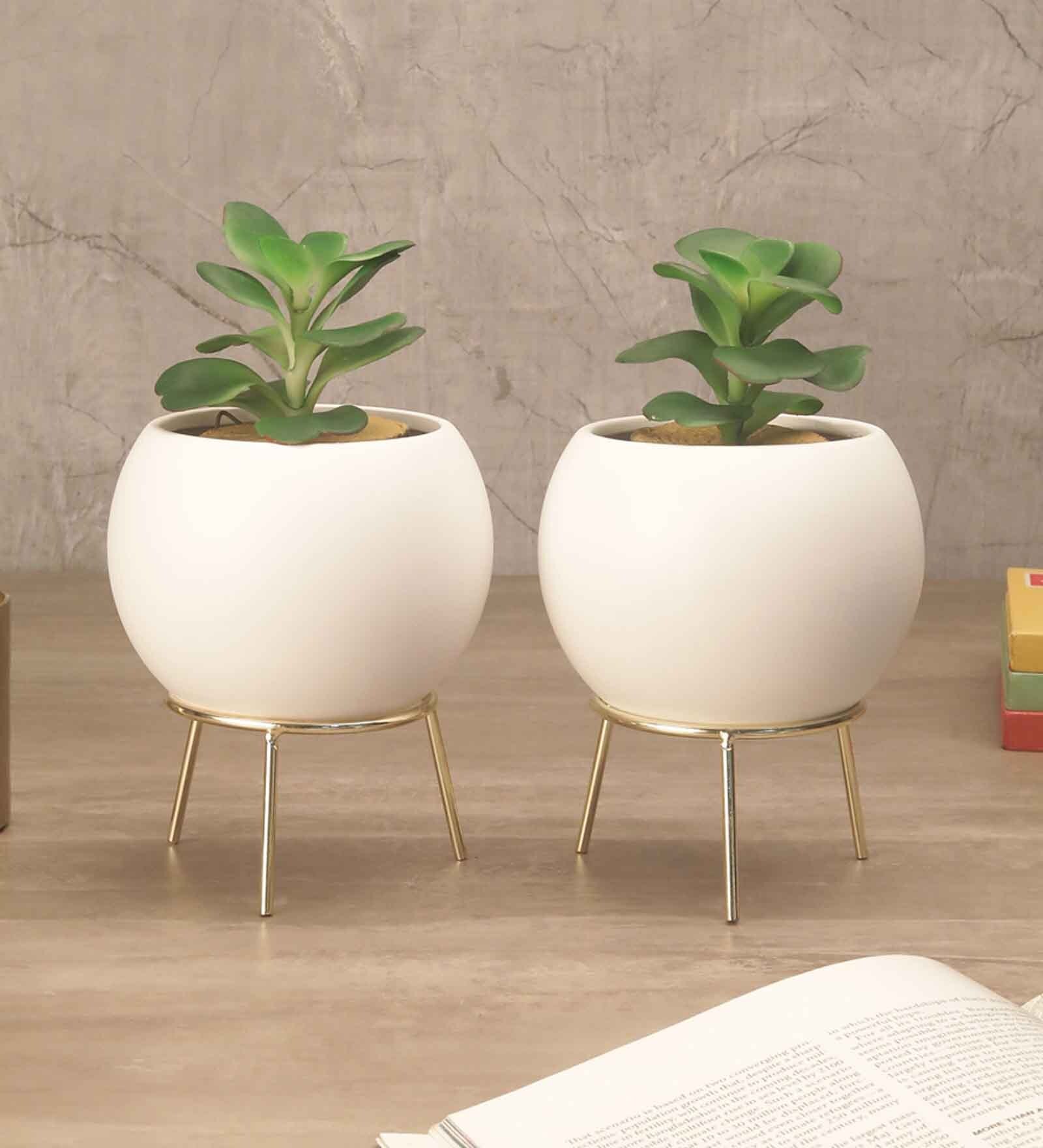 Buy White Ceramic Cauldron Planters With Stand, Set Of 2 By Oddcroft