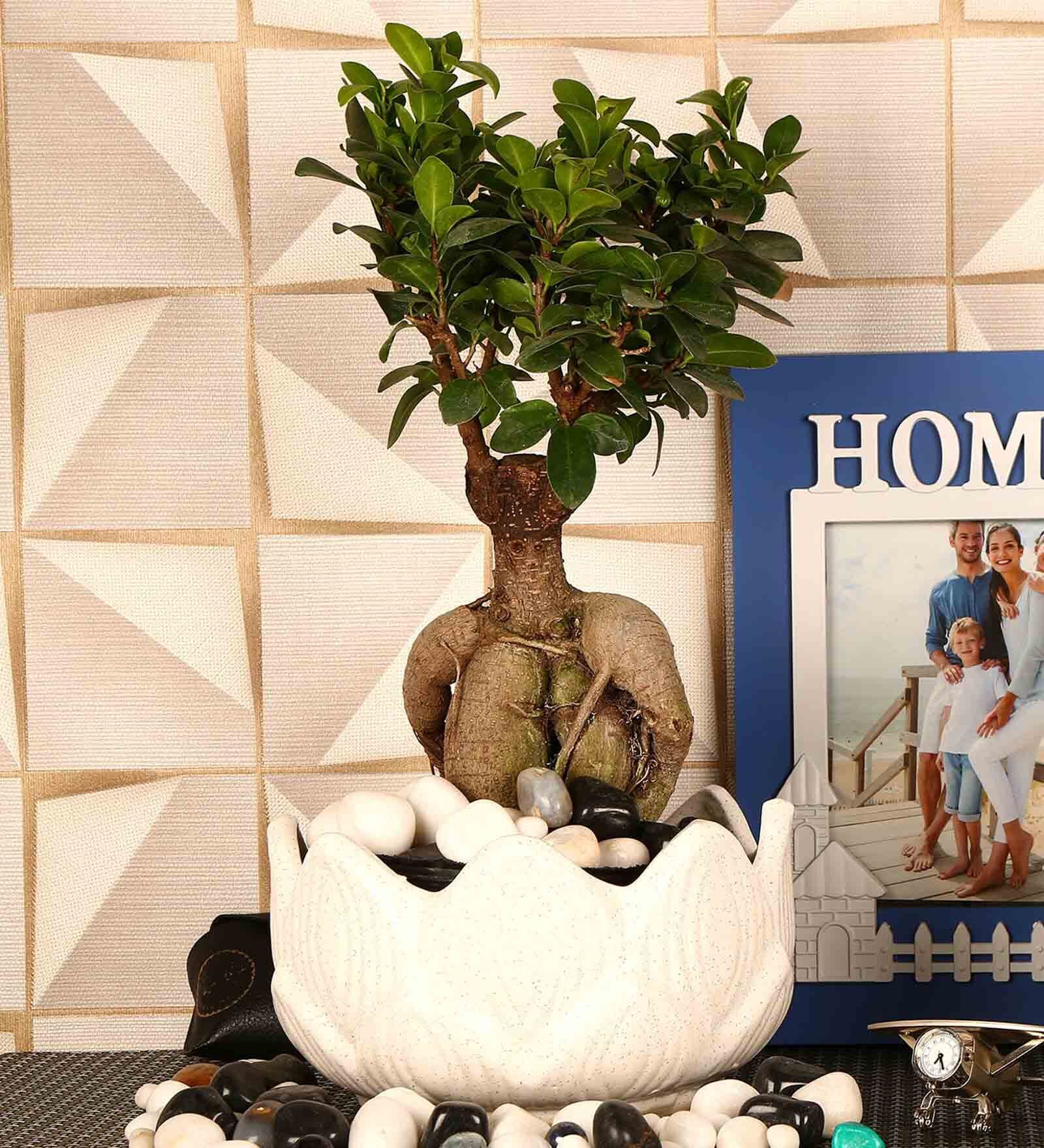 White Ceramic Kamal Phool Shape Medium Planter