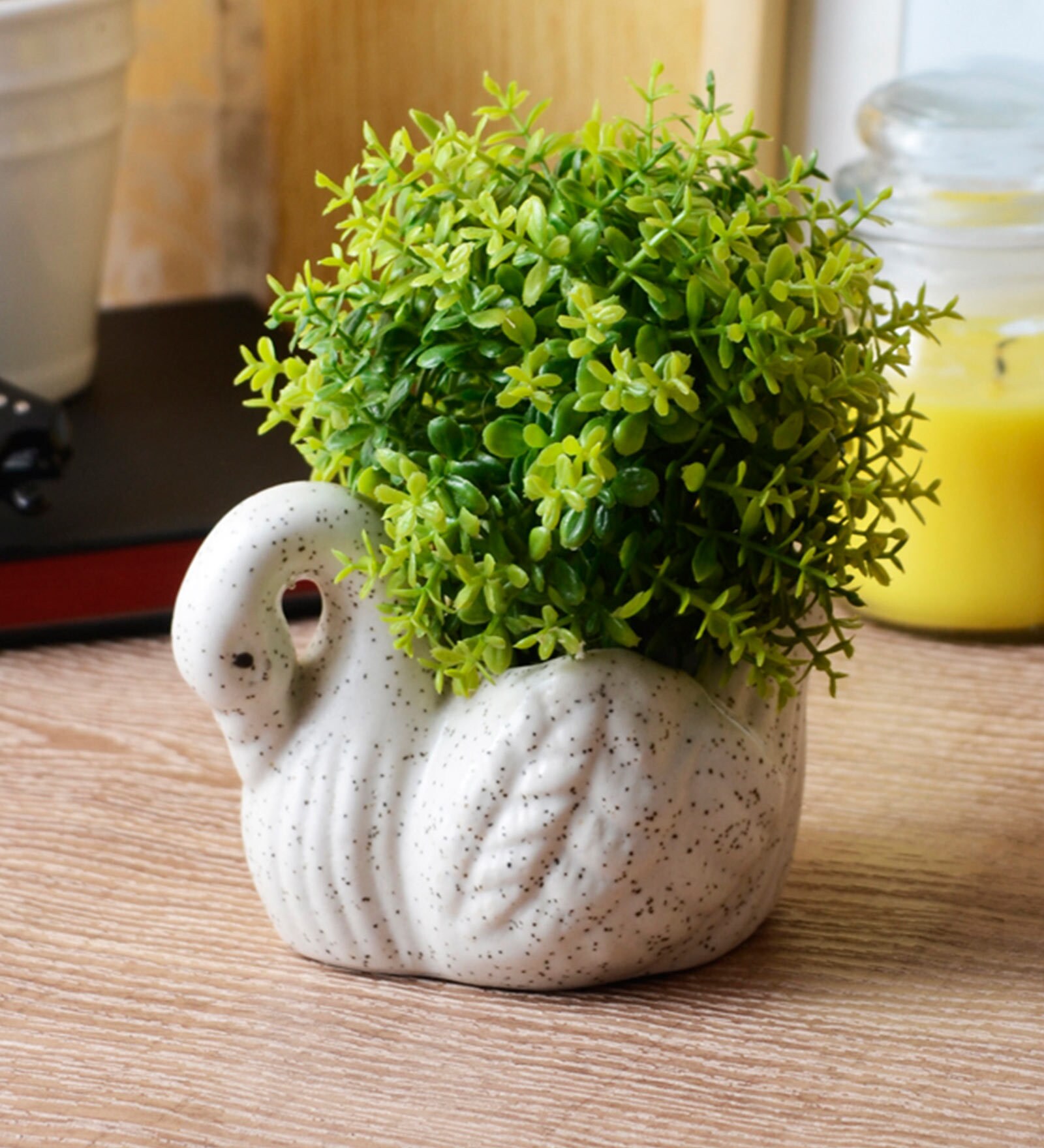 White Ceramic Mini Duck Pot