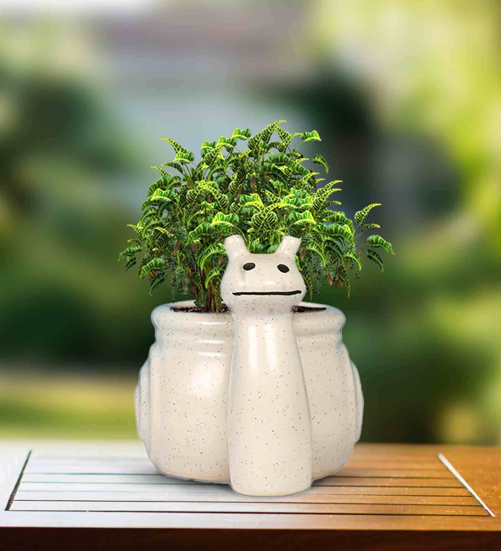 White Ceramic Snail Shape Flower Pot