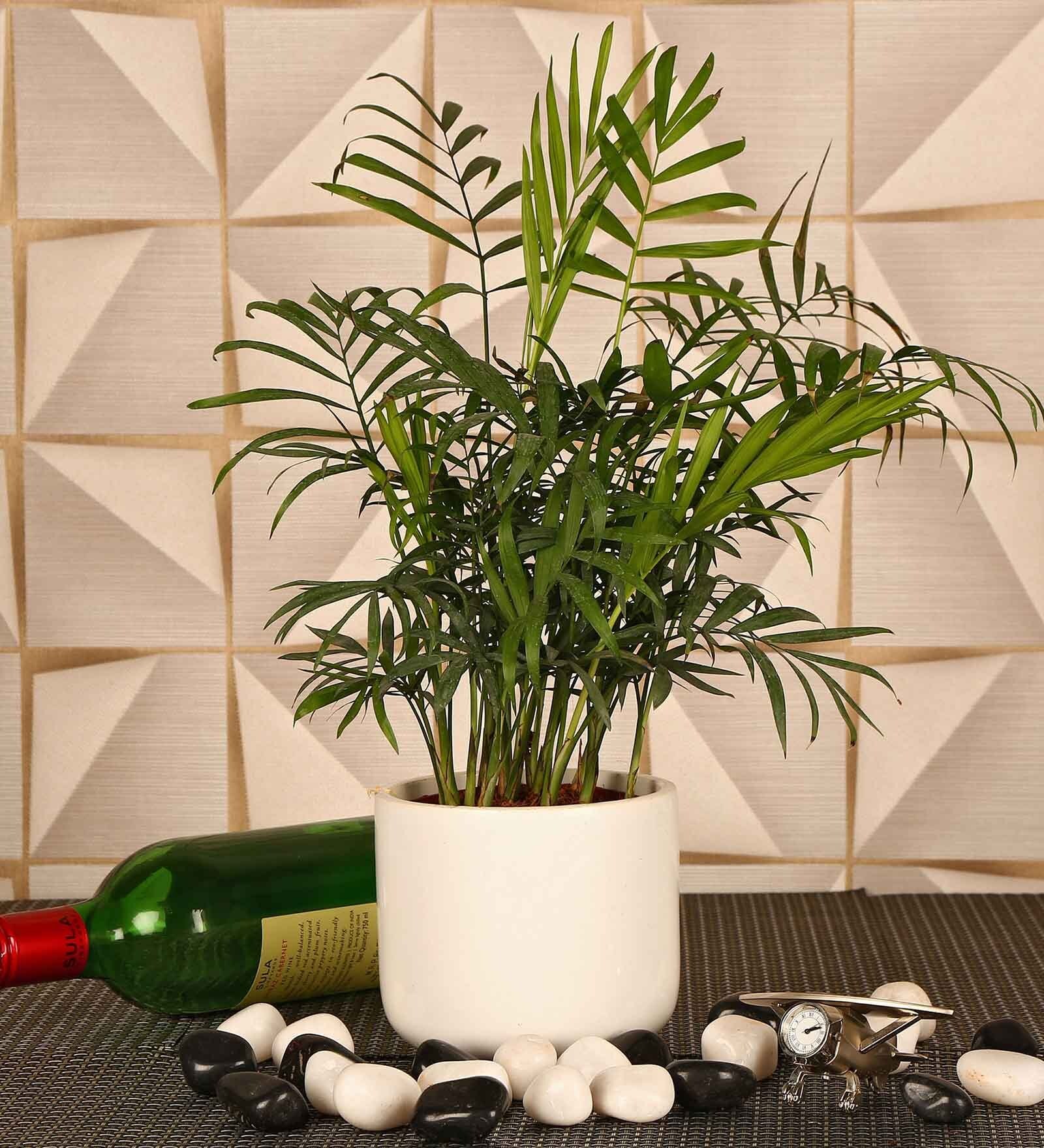 White Ceramic U Shape Flower Pot