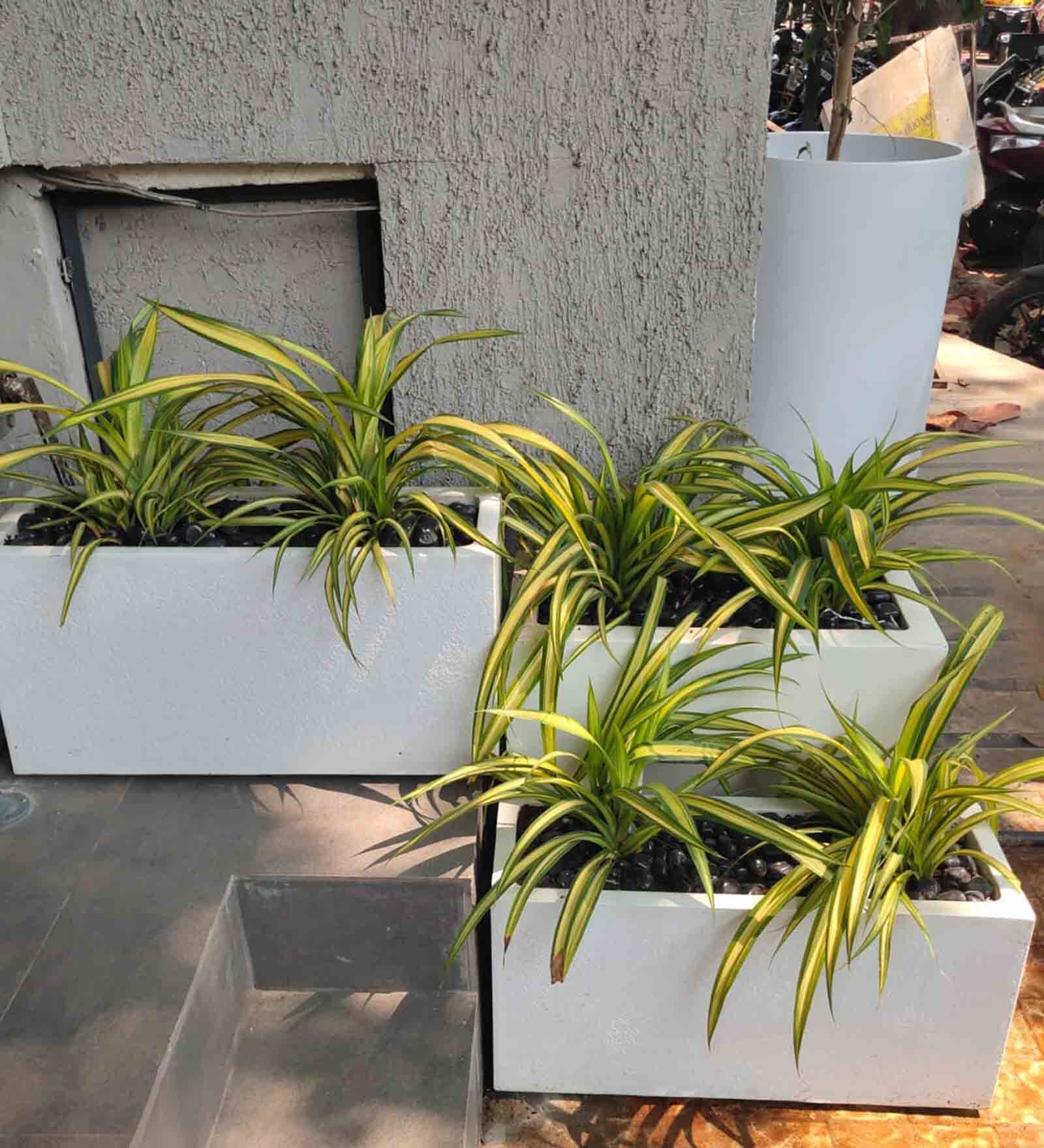 White Extra Large Fiberglass Rectangle Shape Floor Planter