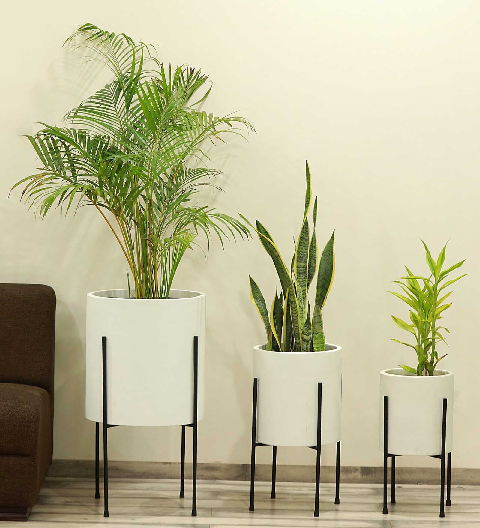 Cylindrical Shaped Large Set of 3 White Fiber Glass Floor Planter