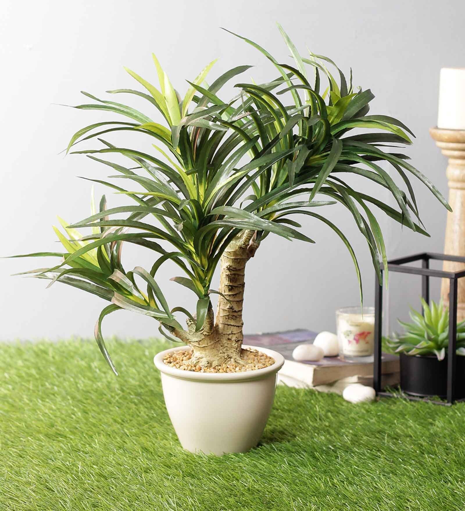 Buy White Green Pvc Artificial Yucca Plant With White Ceramic Pot by
