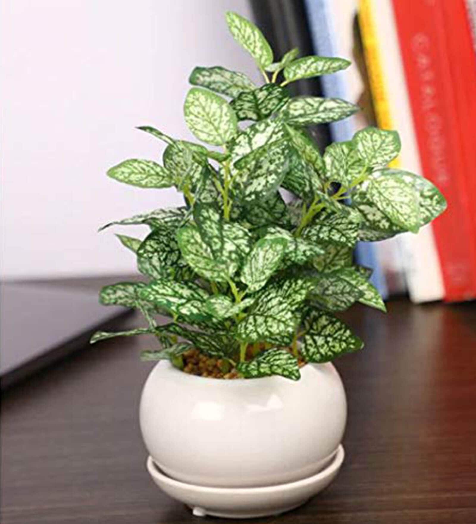 White Green Pvc Nearly Natural Artificial Bonsai With White Ceramic Pot