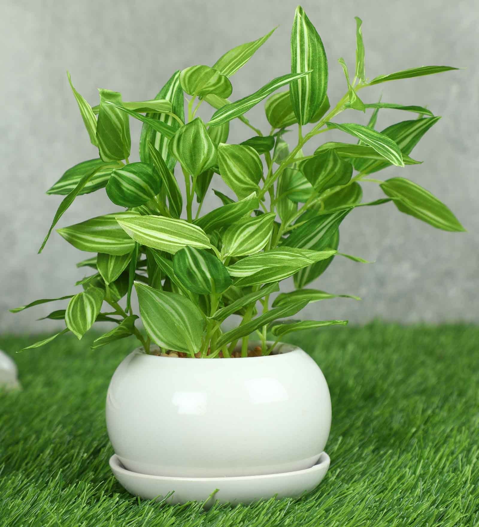 White Ivy Pvc Nearly Natural Artificial Bonsai With White Ceramic Pot