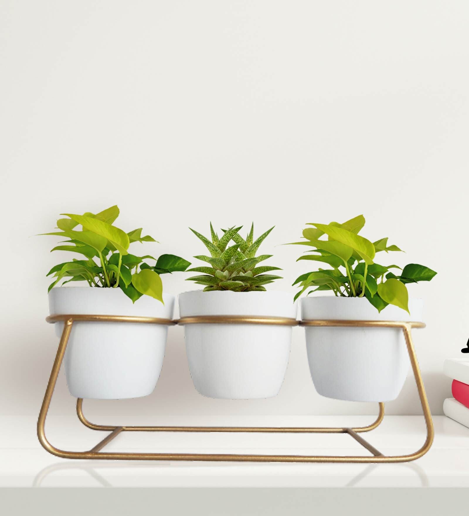 White Metal Bella Desk Pot Desk Pot