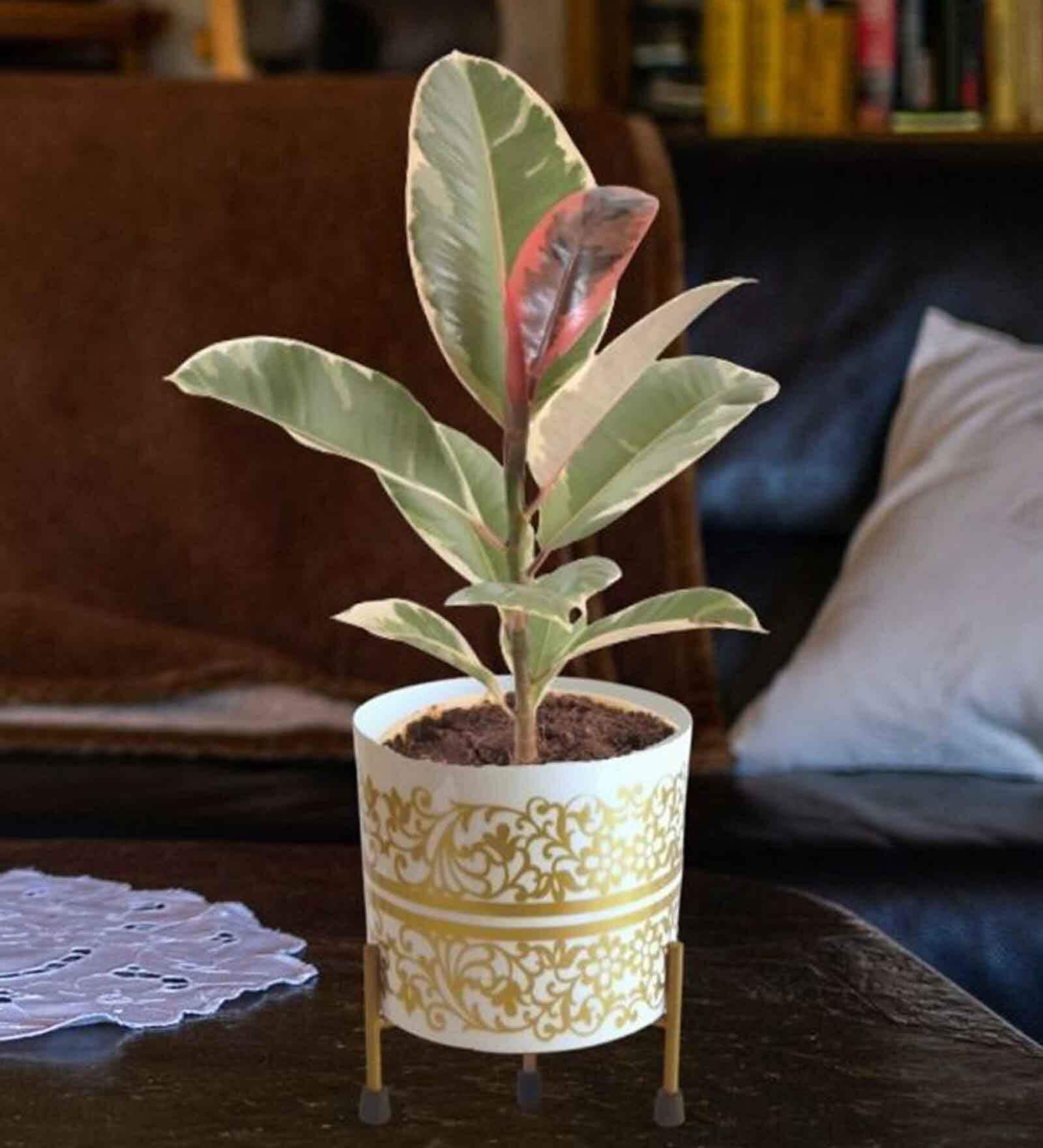 White Metal Evan Desk Pot