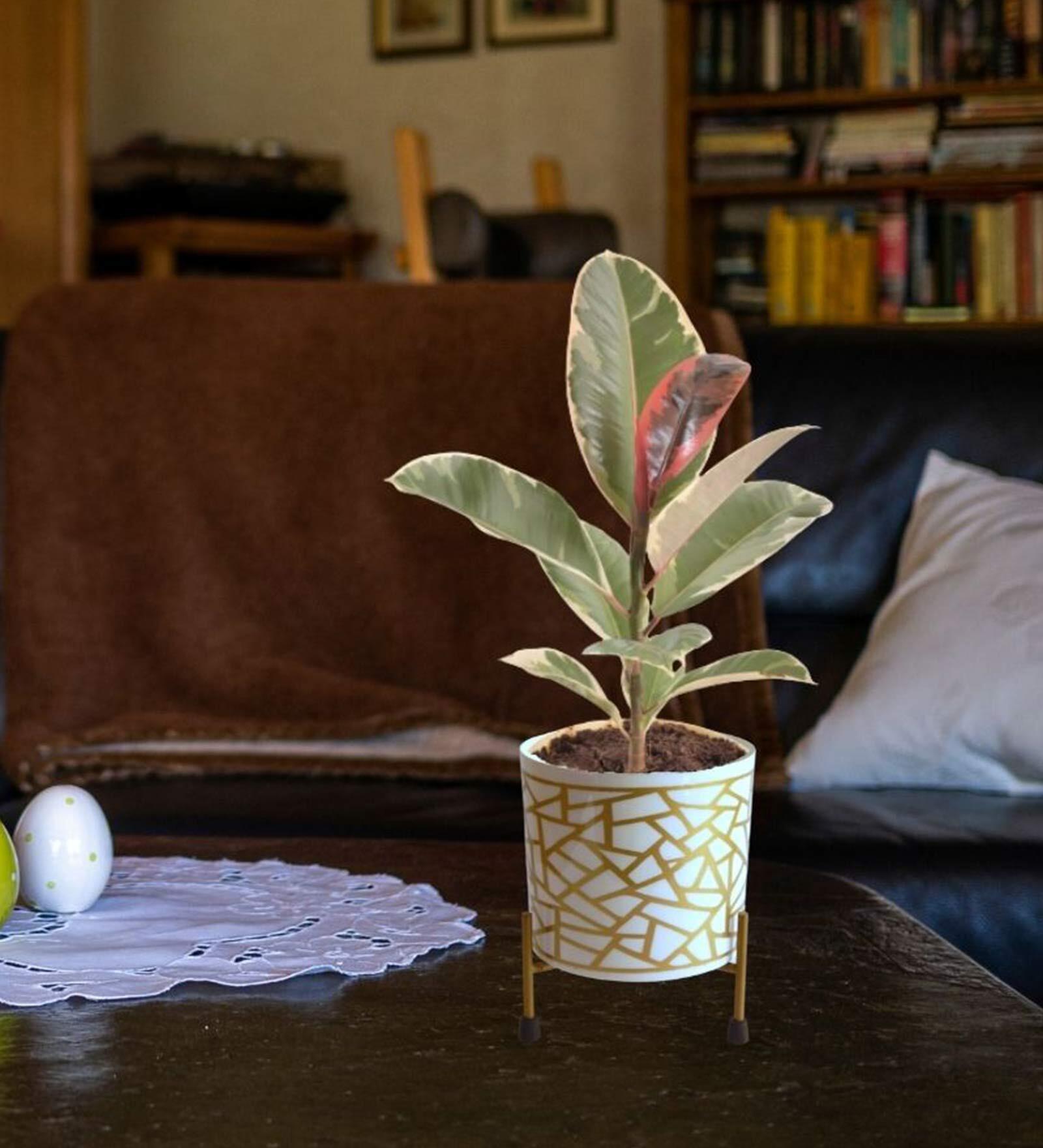 White Metal Ian Desk Pot