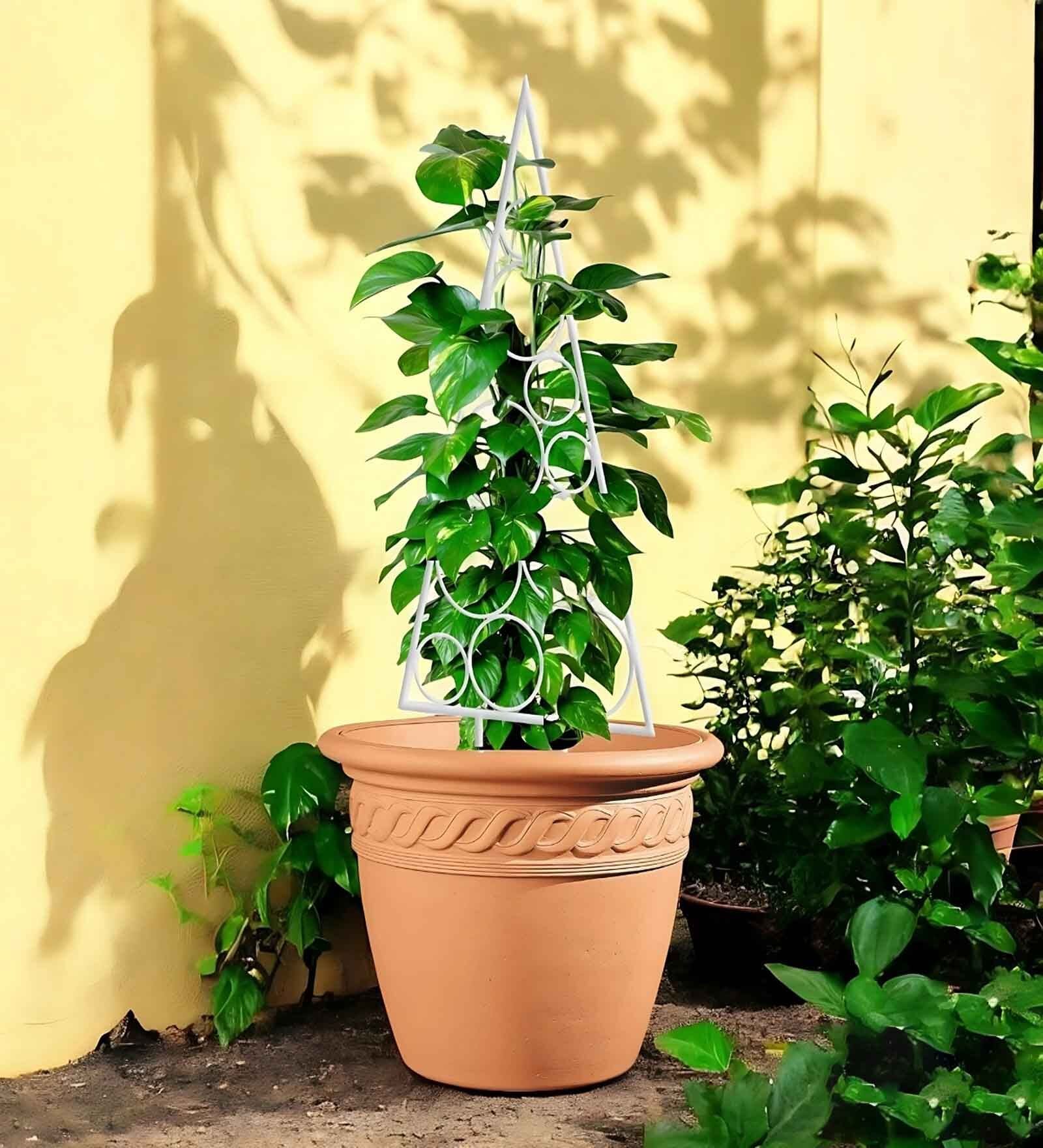 White Circul Planter Stand For Climbing Plants